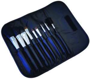 HBA1525 – PROFESSIONAL 9 PIECE BRUSH SET