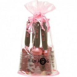 61179 HJ PINK RADIAL BRUSH SET IN BAG